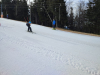 IMG_20240215_091527